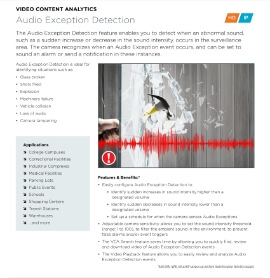 Audio Exception Detection
